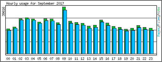 Hourly usage