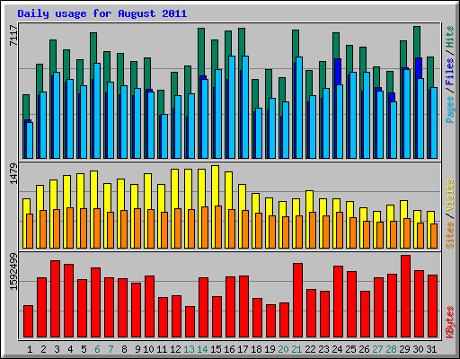 Daily usage for August 2011