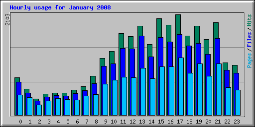 Hourly usage for January 2008