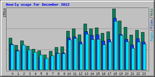 Hourly usage for December 2012