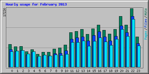 Hourly usage for February 2013